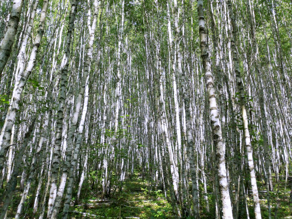 Строго говоря