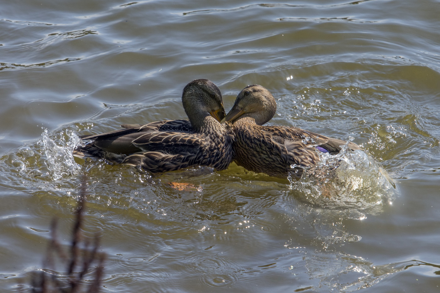 Строго говоря