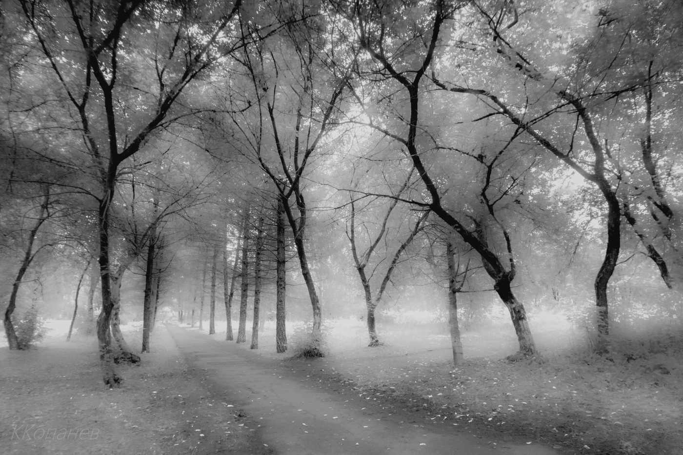 В городском парке