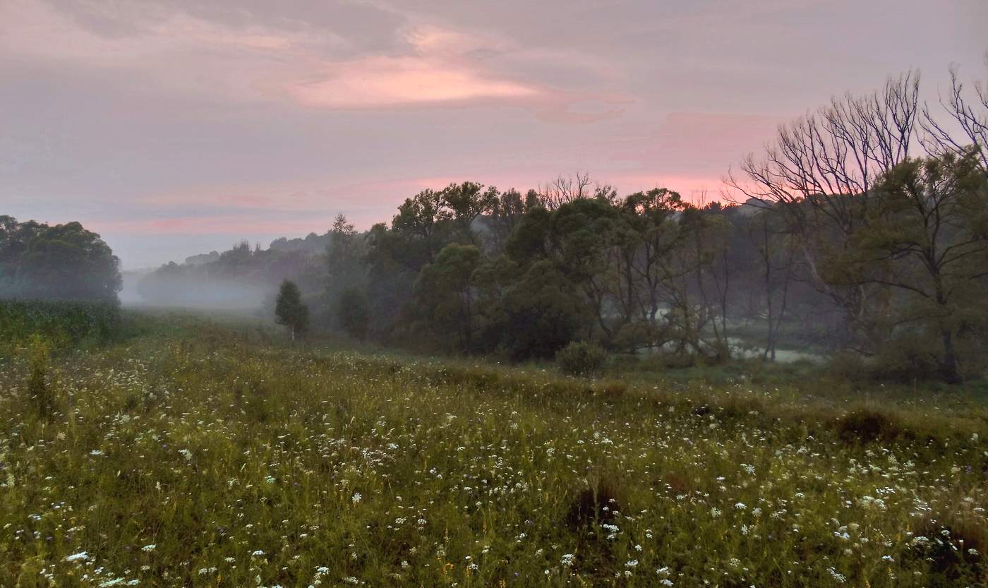 Летнее утро с туманом