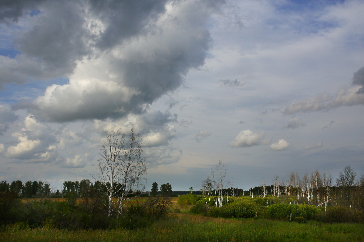 Плыли по небу облака