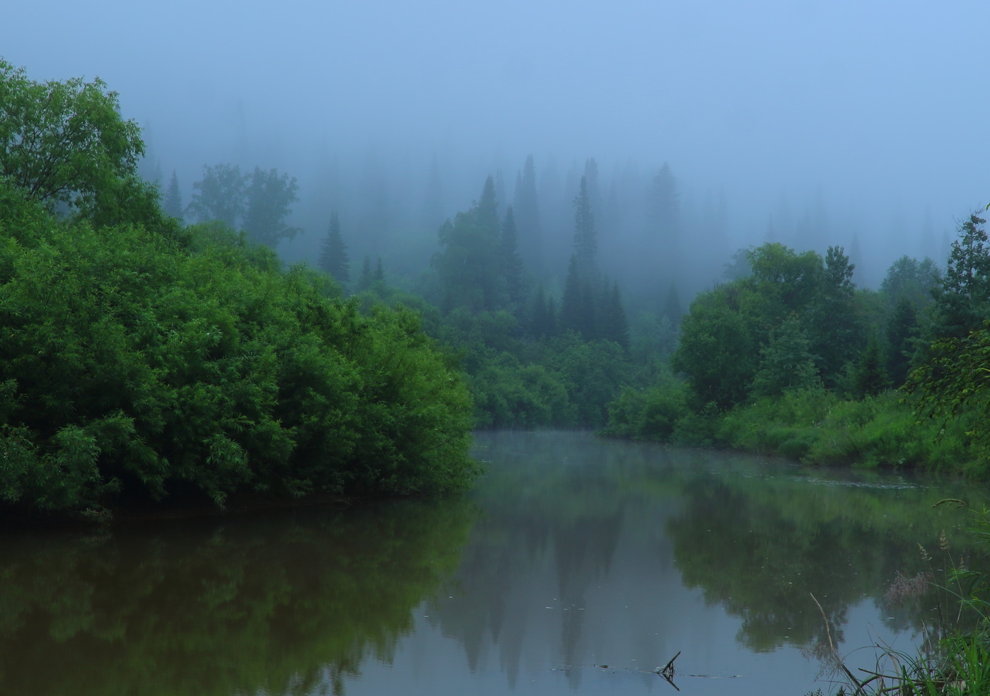 За туманом и за запахом тайги
