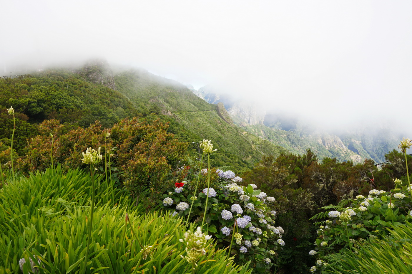 Там, над облаками....