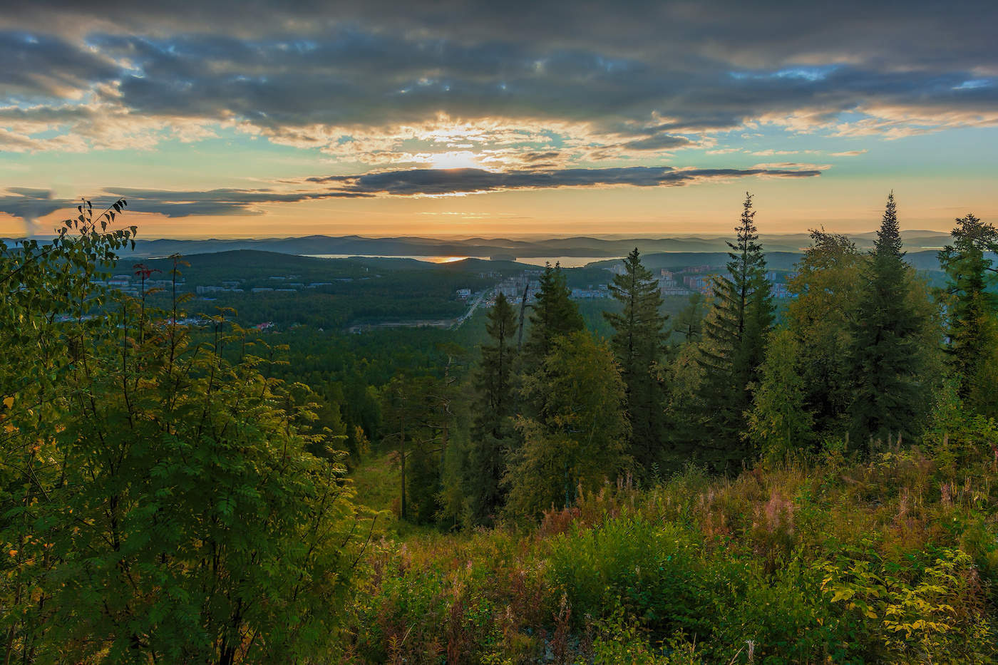 Осеннее разноцветье