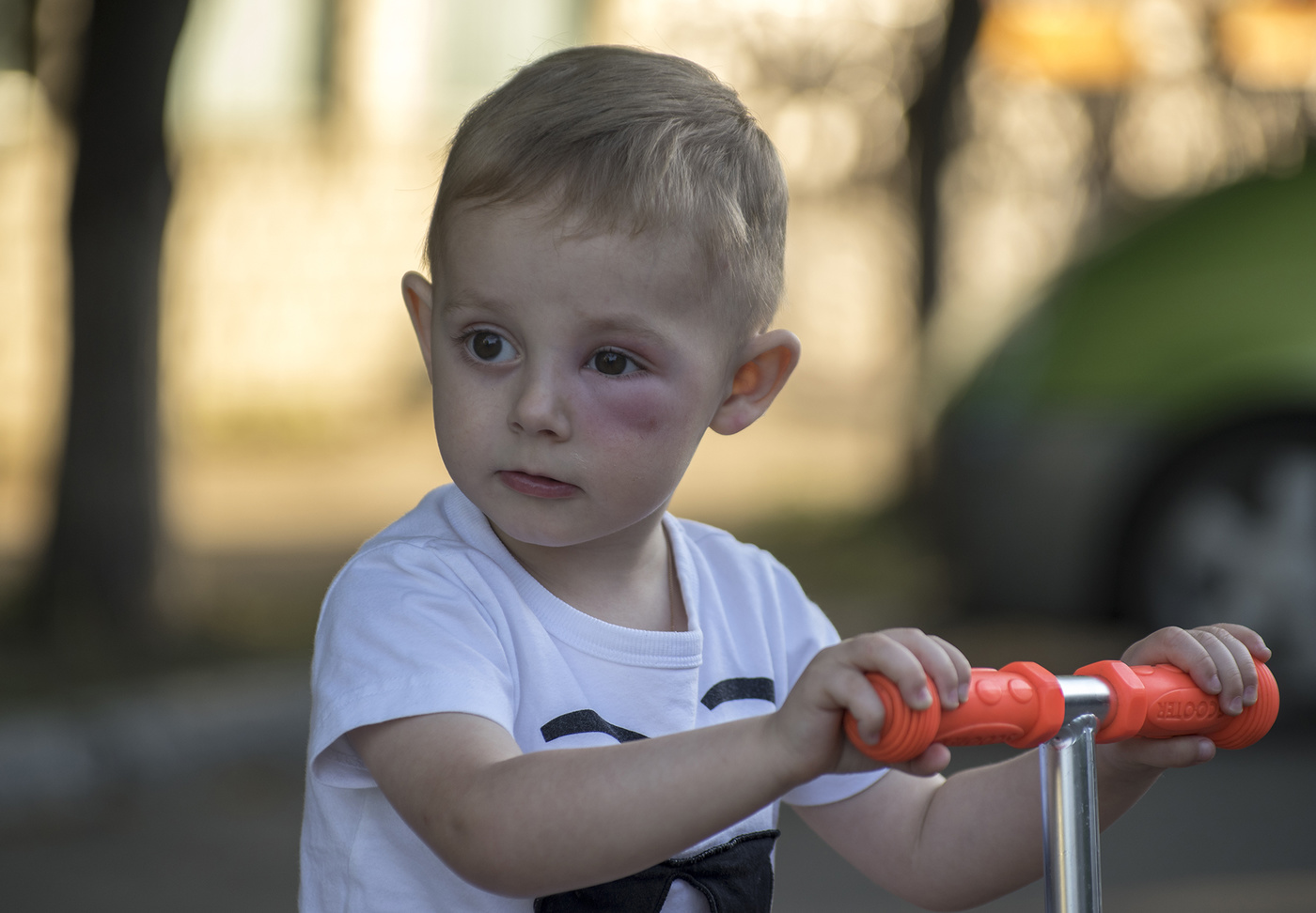 Двор отстоял..