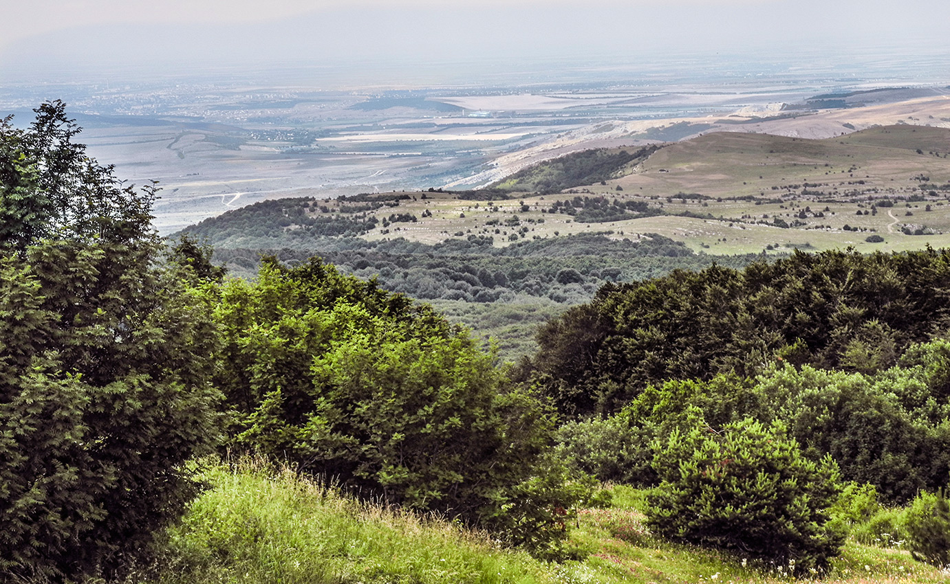 Крымский пейзаж