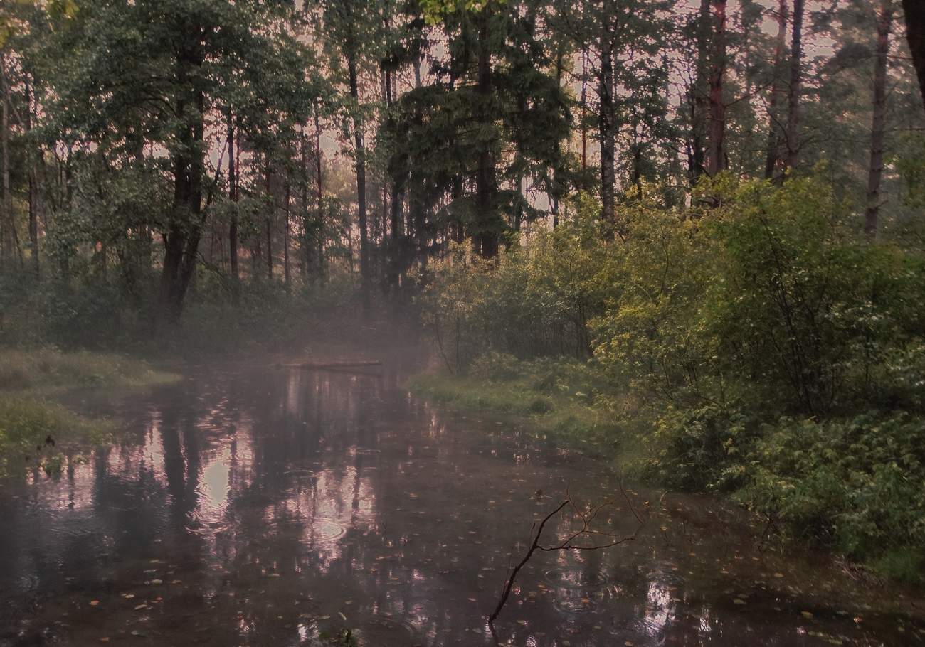 Мряка - дождь, туман