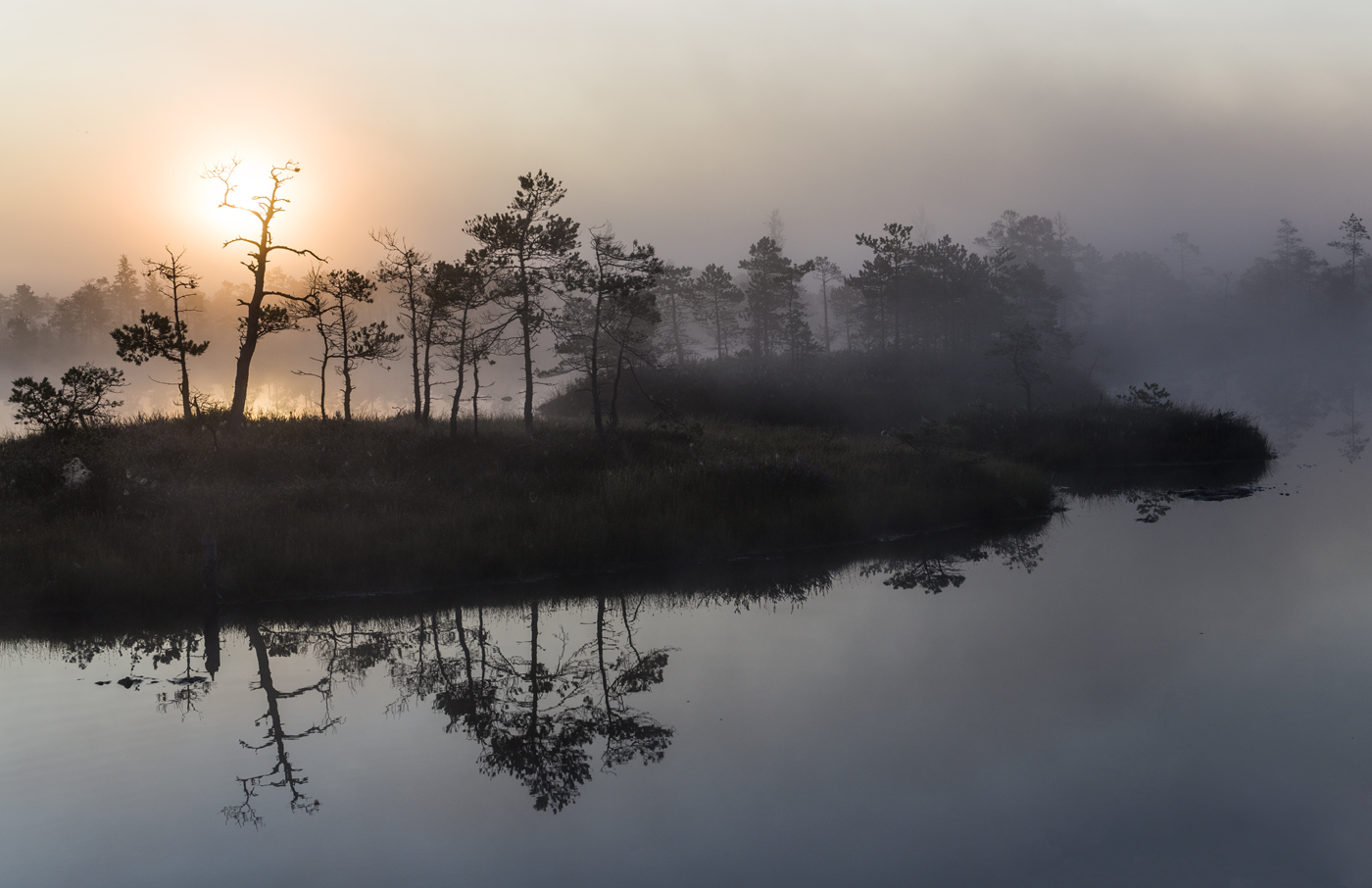 Опаленные солнцем