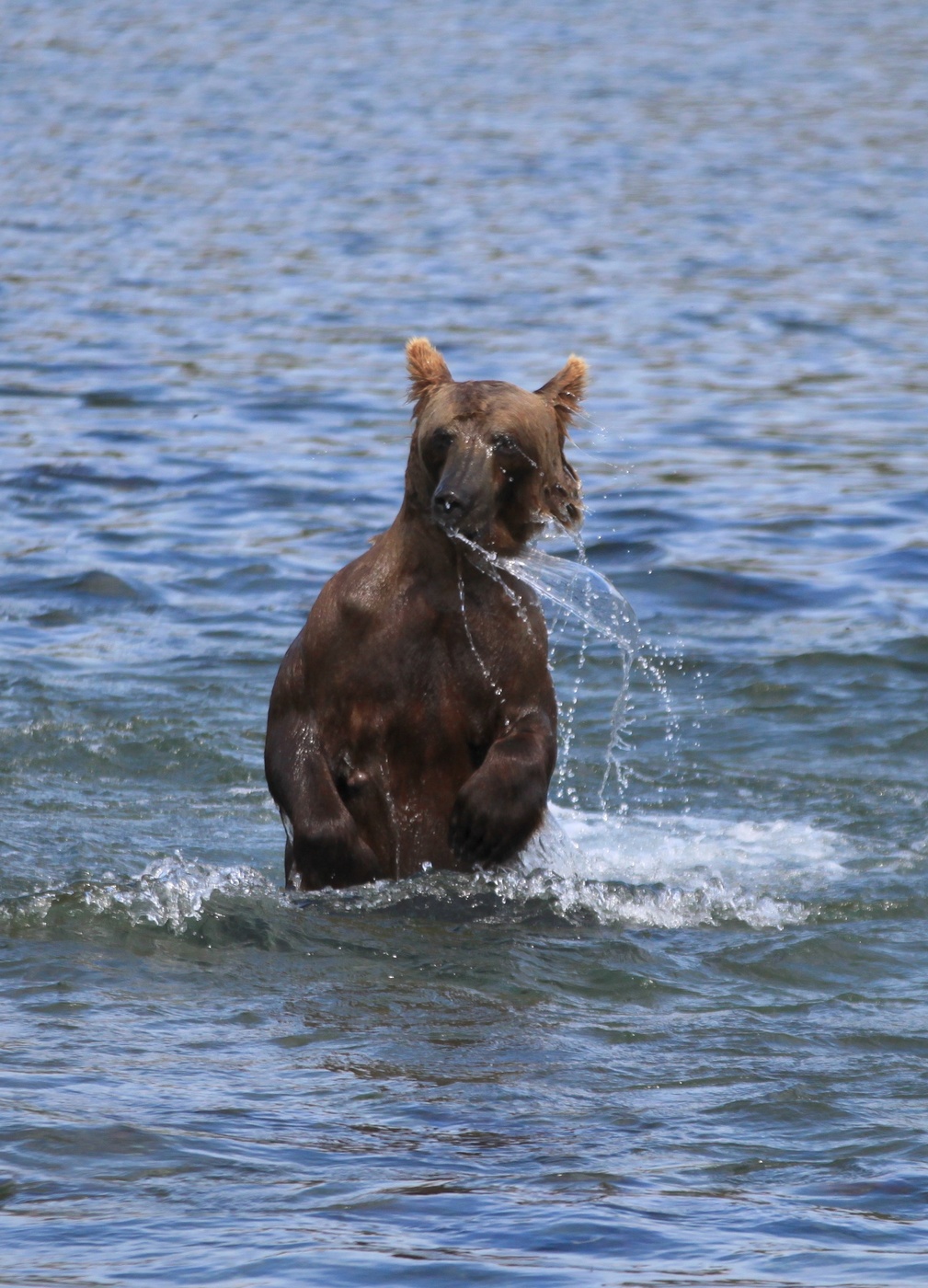 Эх, хороша водичка!!!...
