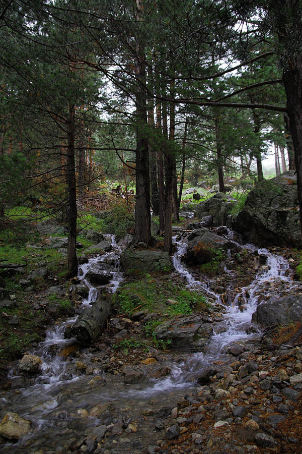 Горный ручей