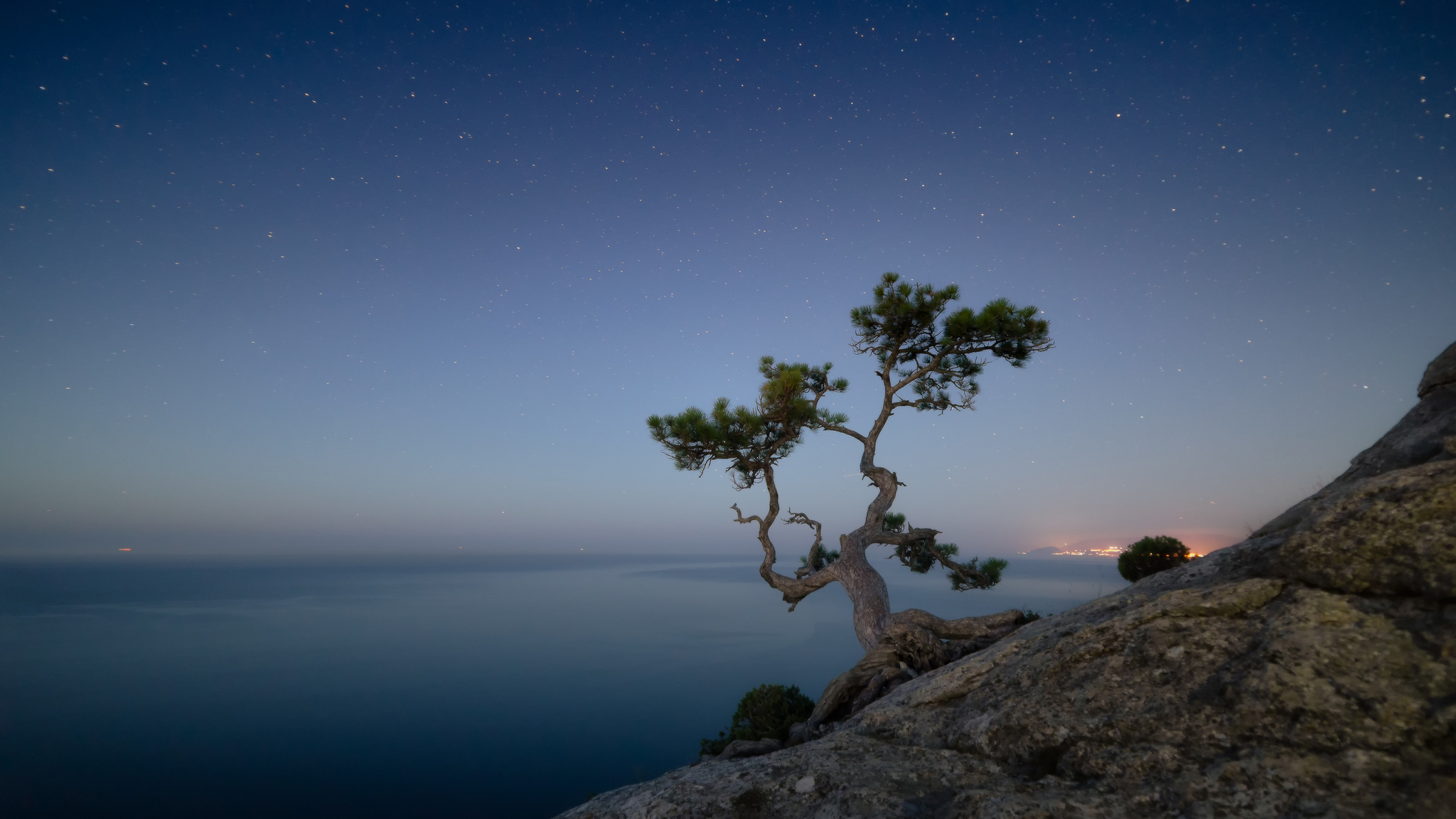 Между ночью и рассветом