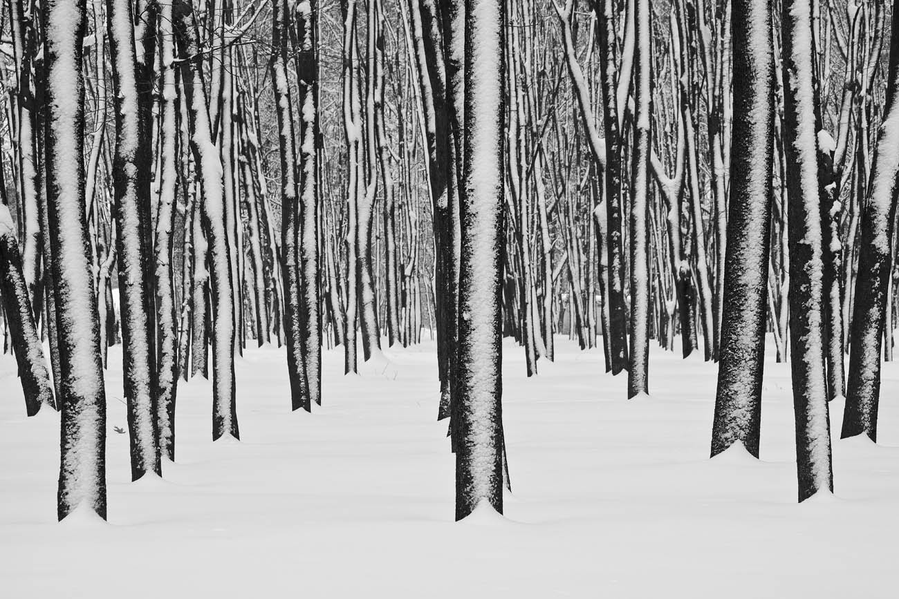 Зимняя графика