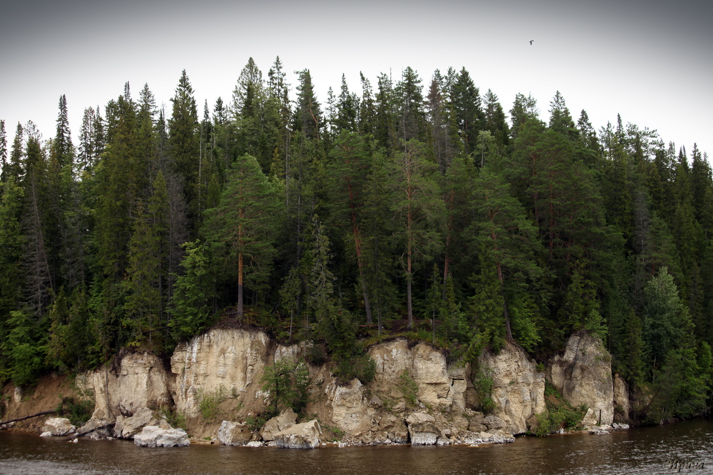 здесь лапы у елей....