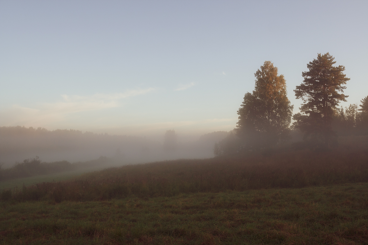 Спокойное утро....