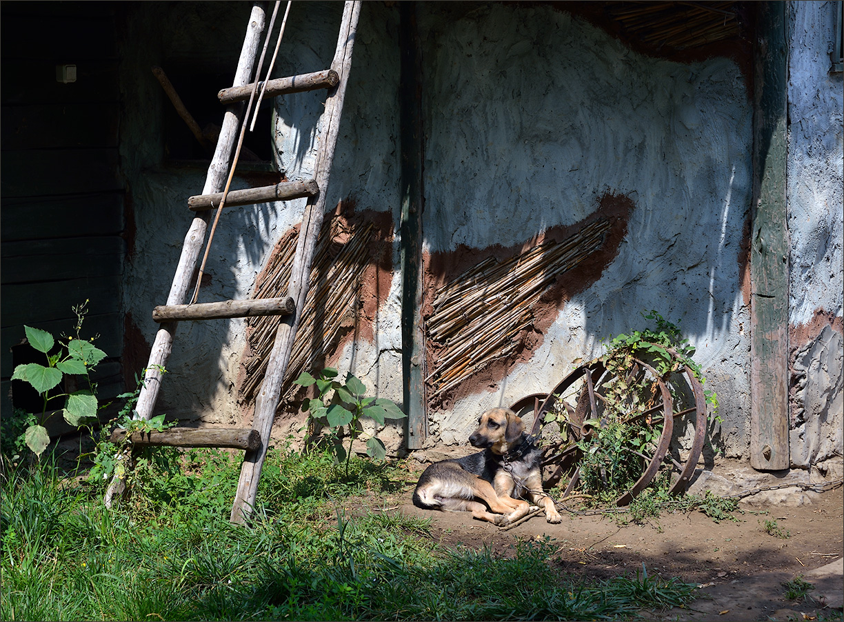 Деревенская инсталляция