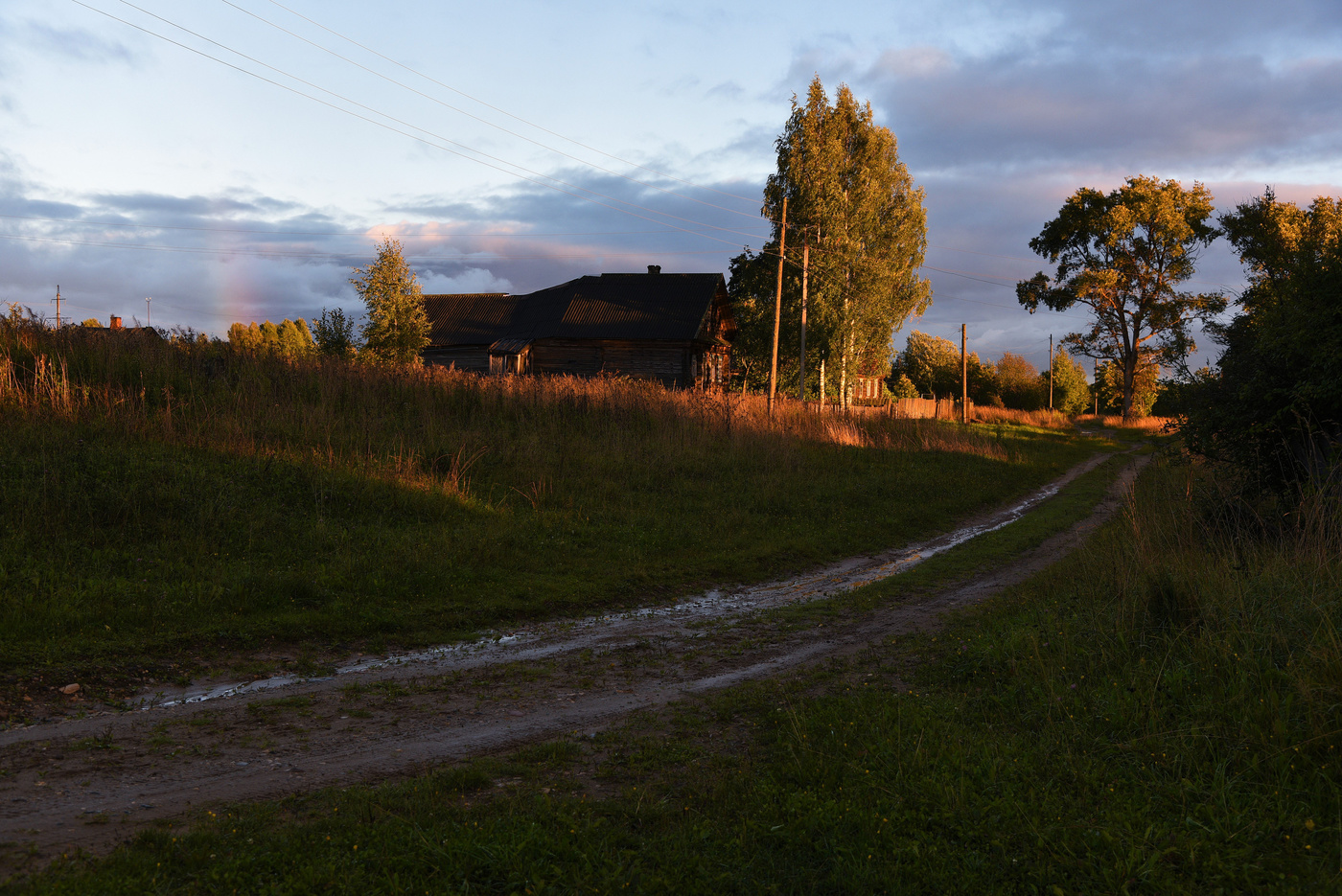 После дождя ...