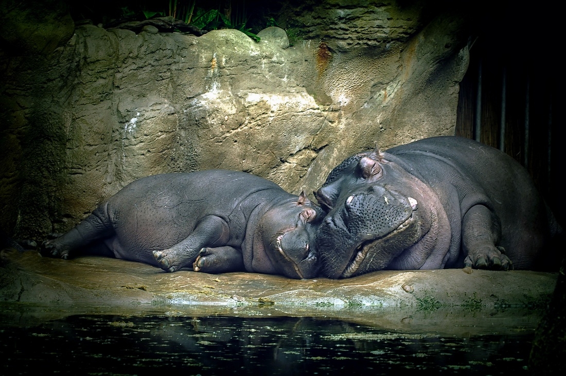 Поели-можно и поспать!