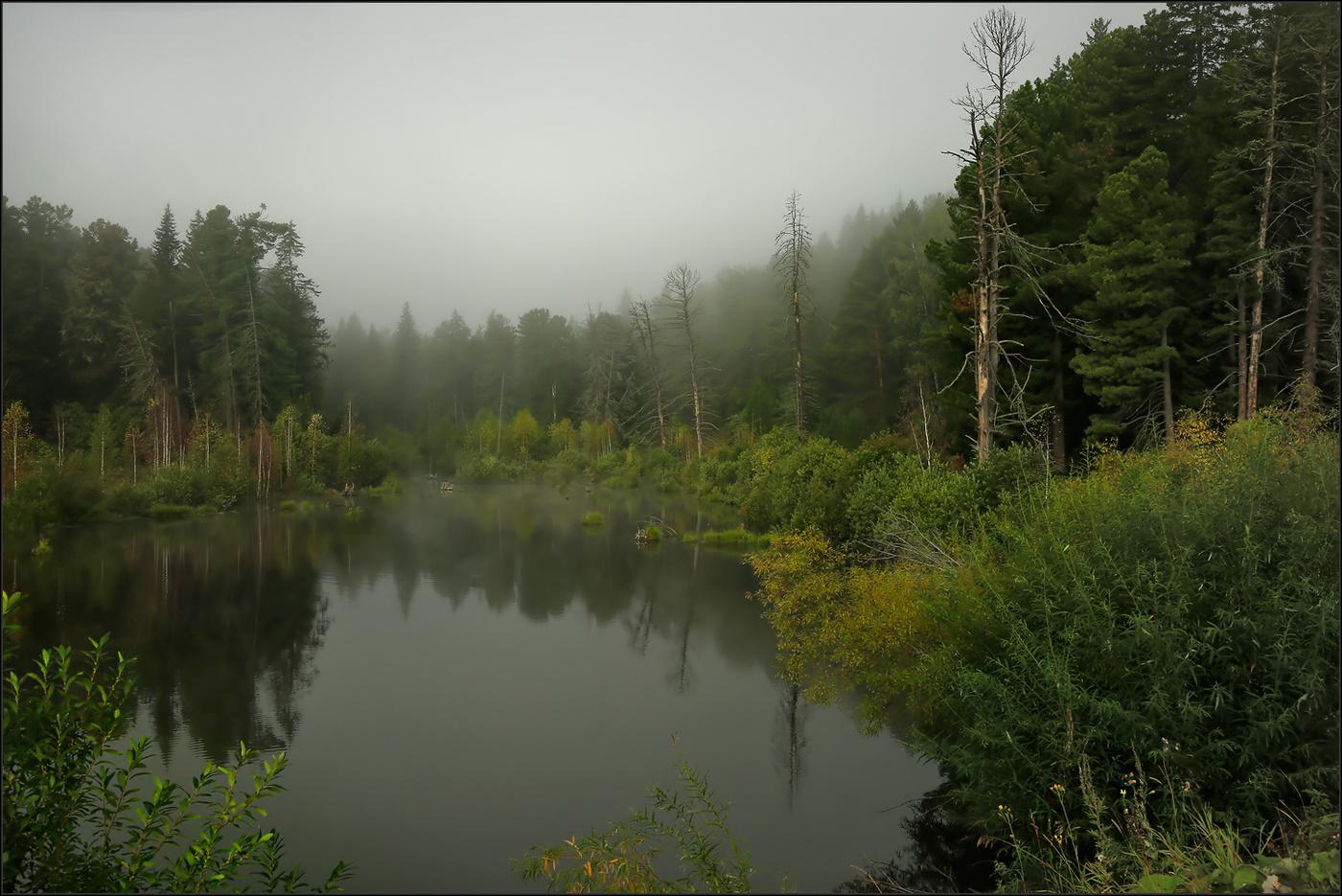 У старого пруда...