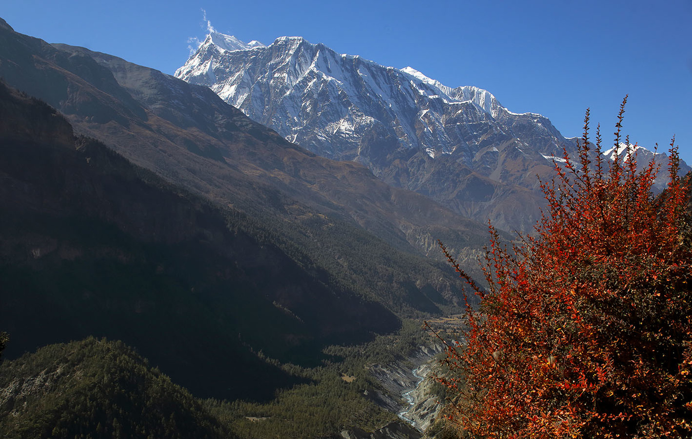 Аннапурна III