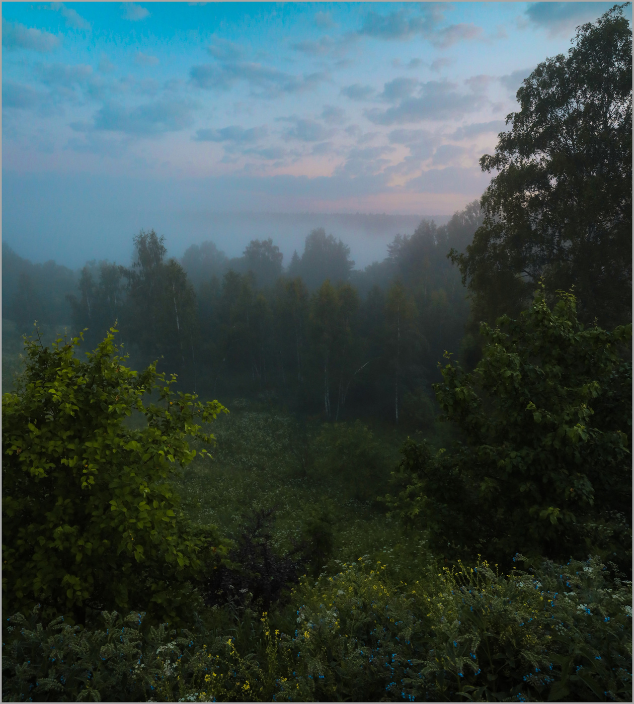 Пробуждение