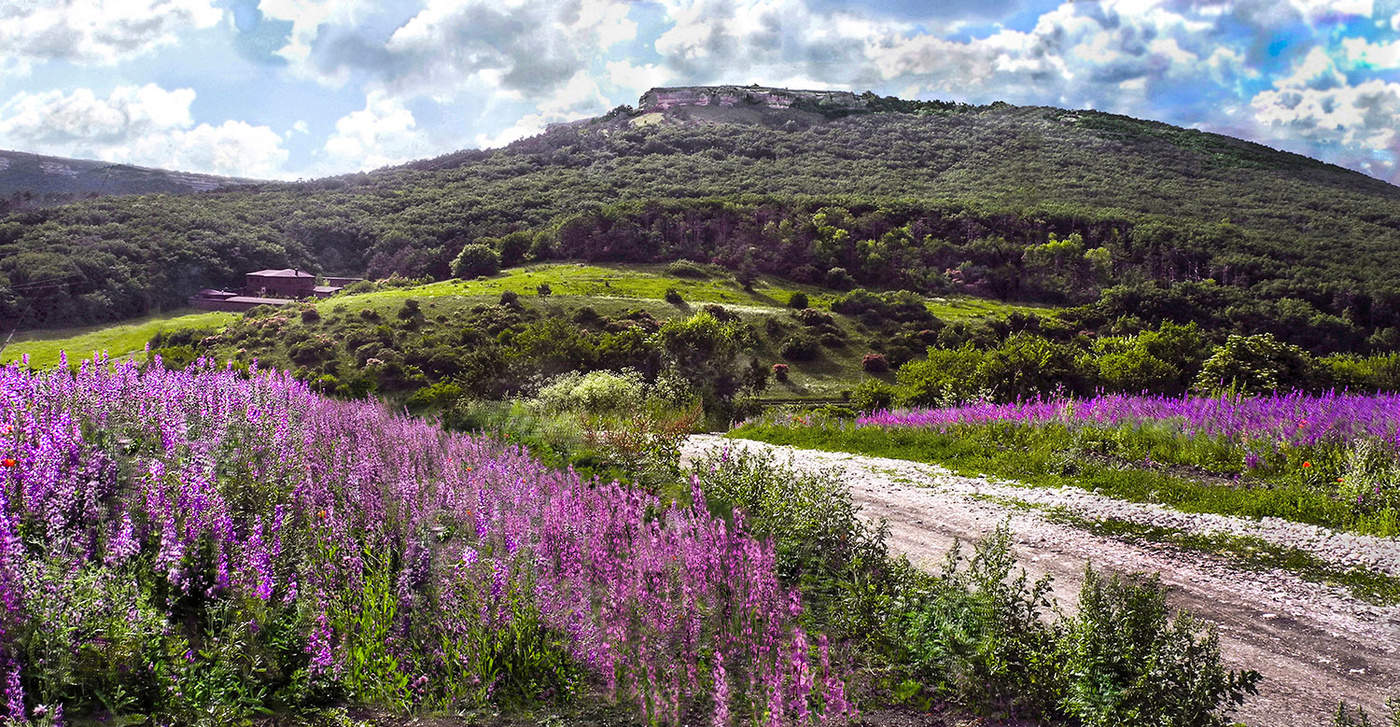 Видос из мая