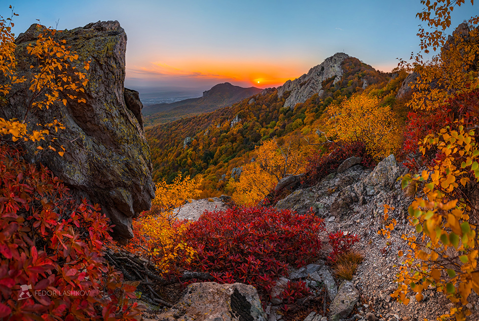 Богатство красок южной осени