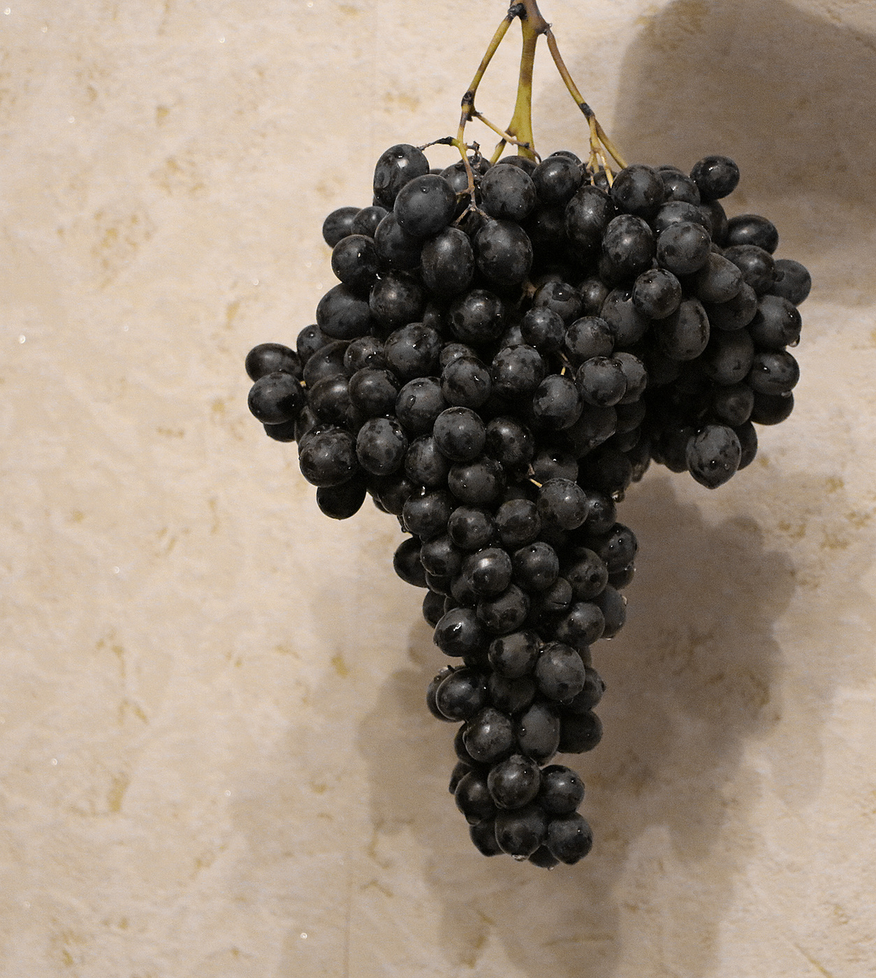 Августовский десерт