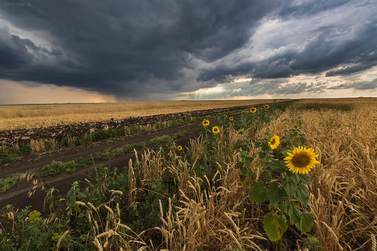 Громыхает над полями...