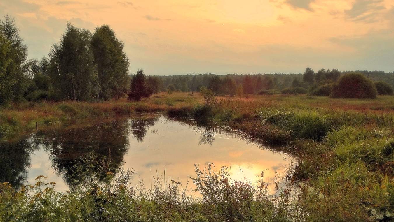 Августовская зарисовка