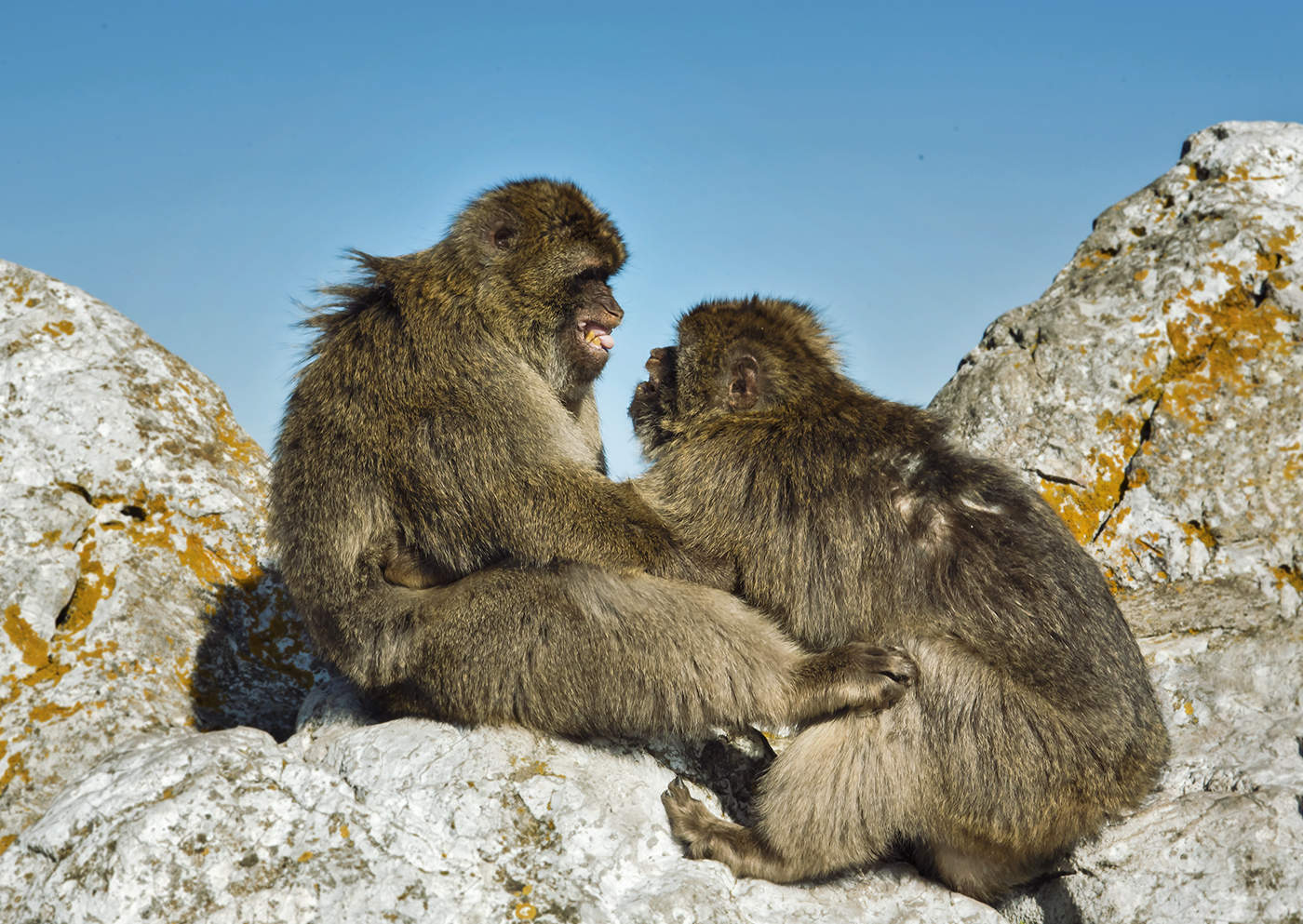 Строго говоря