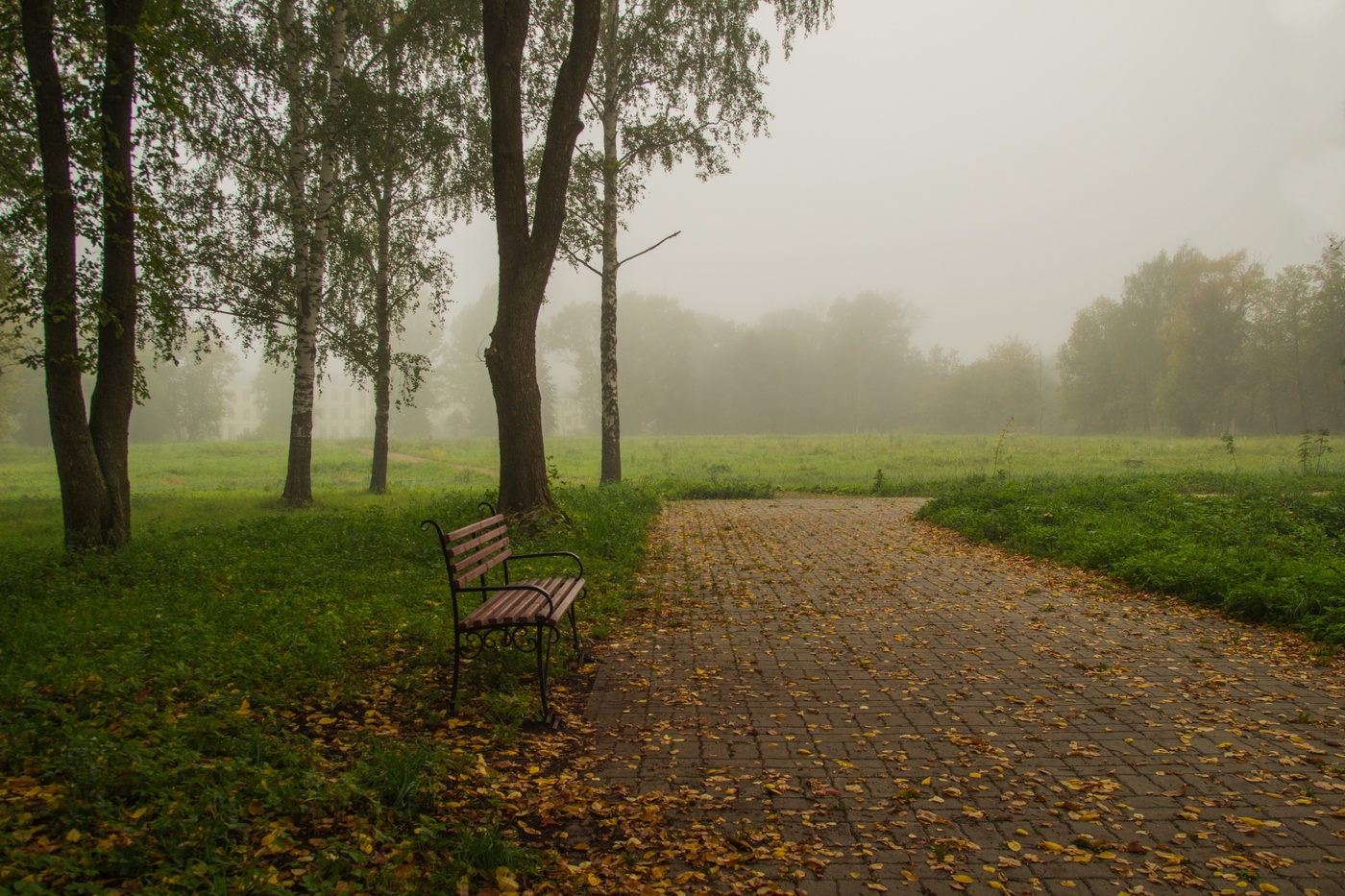 В парке тихо август дремлет...