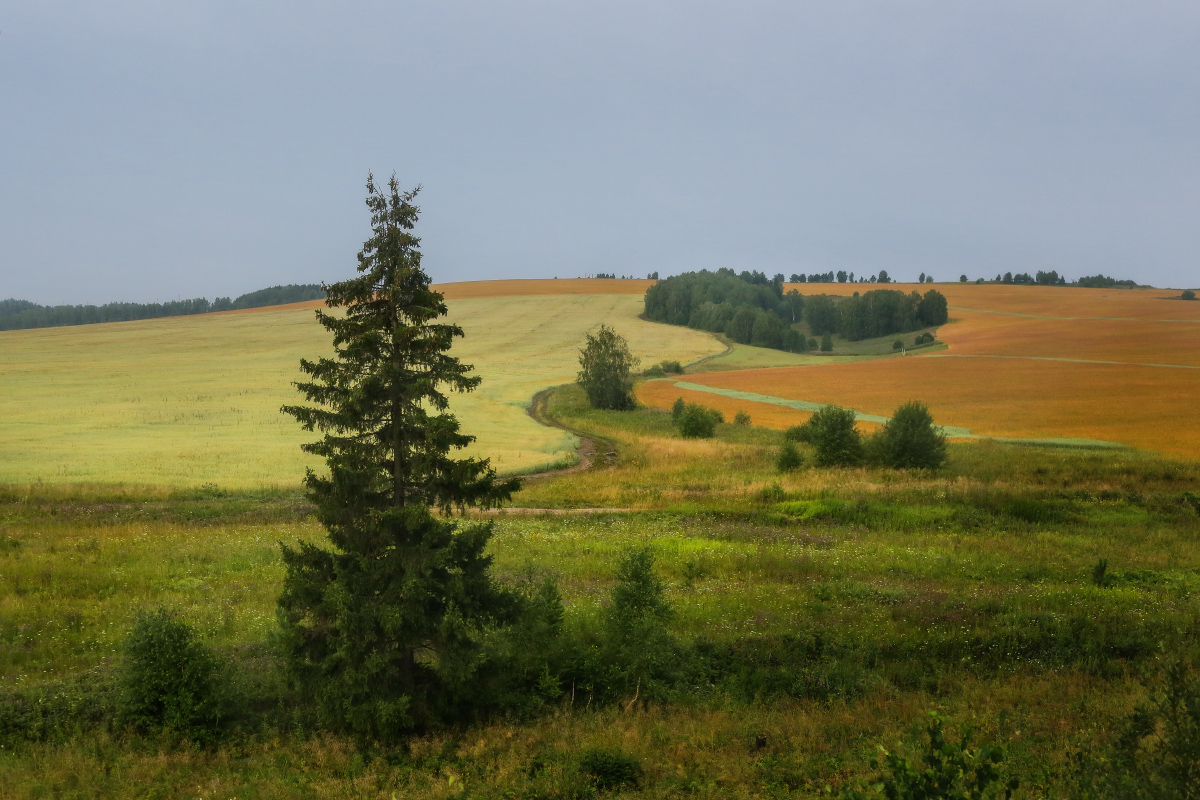 Предосенняя палитра