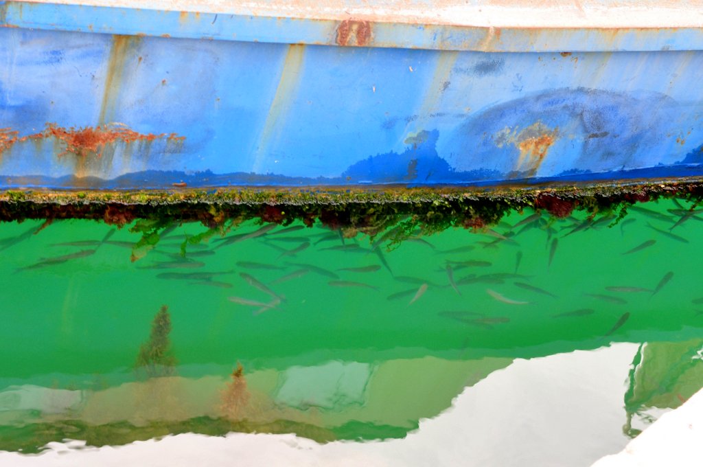 Морская пятница