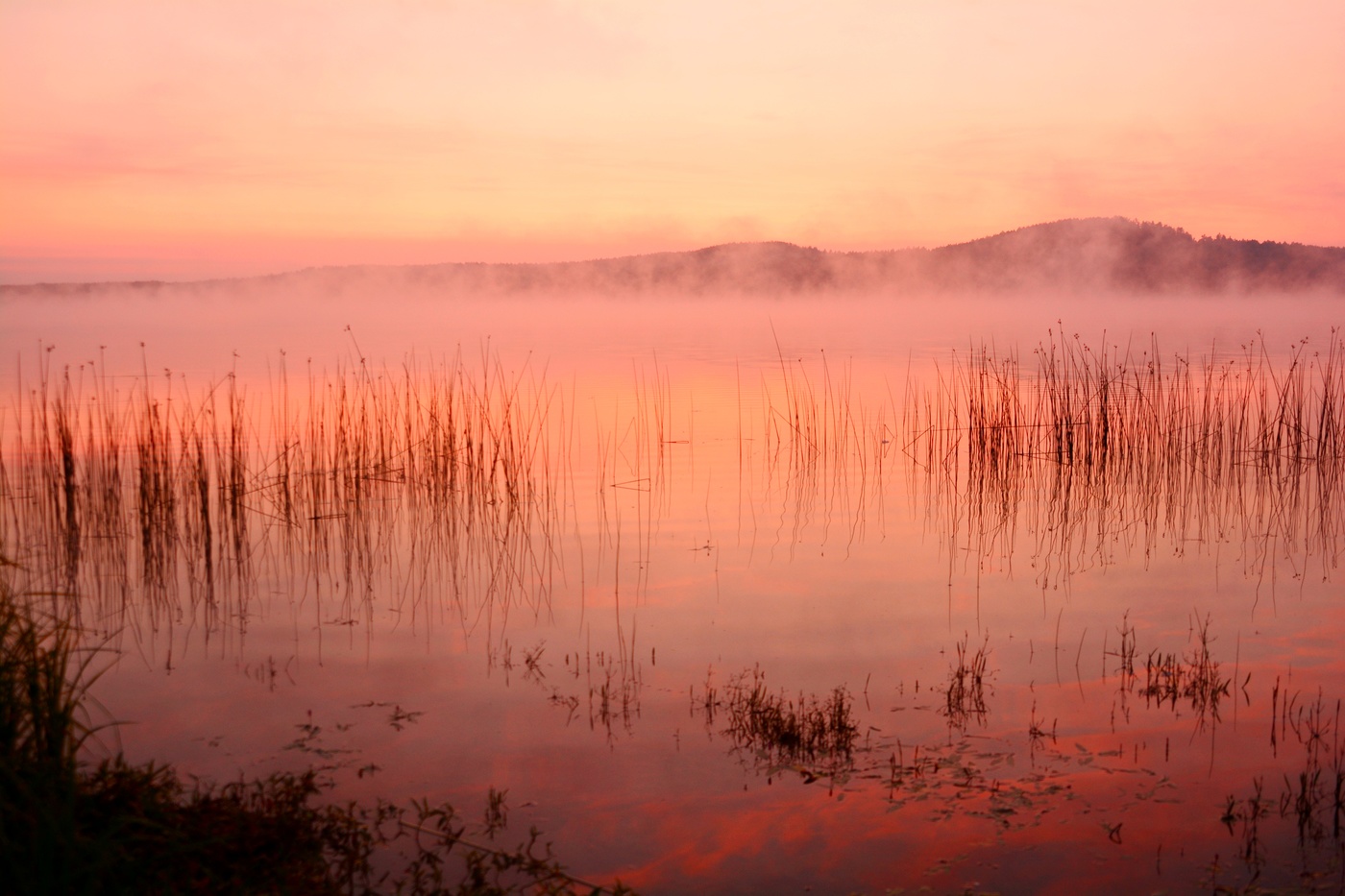 Утренний туман.