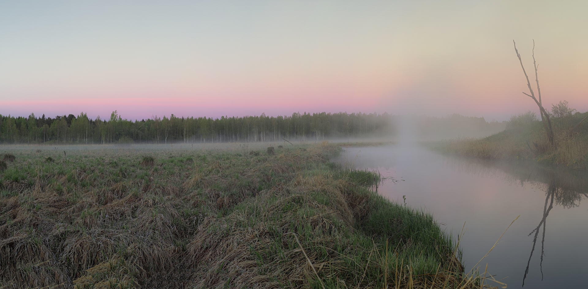 Туман над рекою висит пеленой