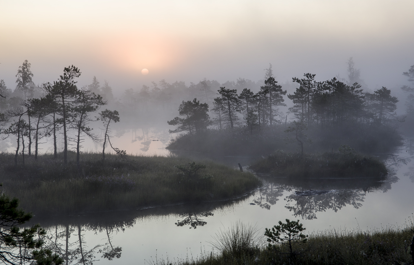 Середина августа