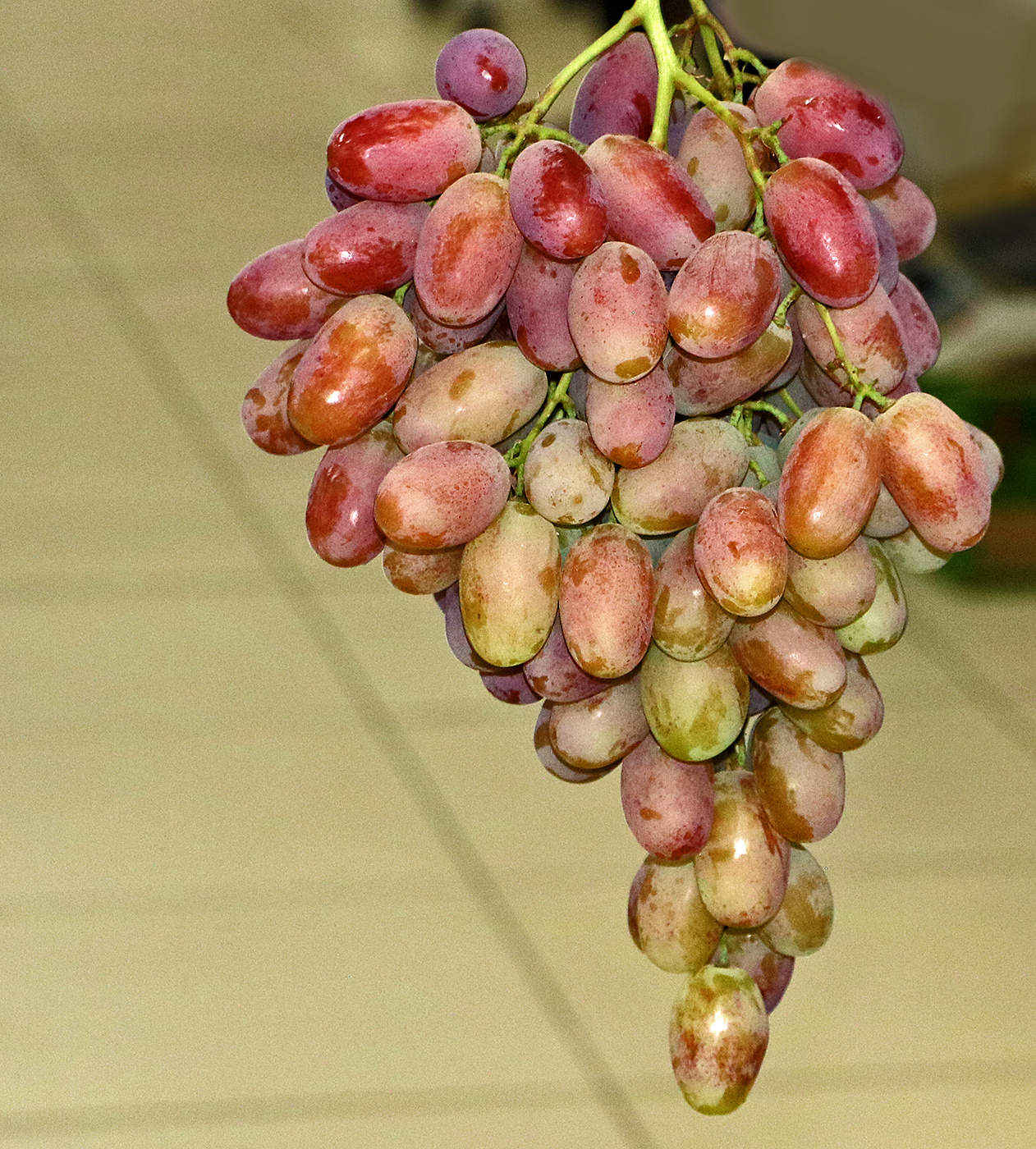 Августовский десерт 2