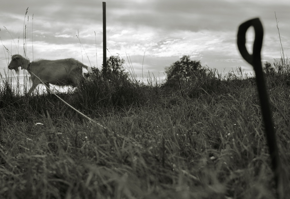 измерение свободы