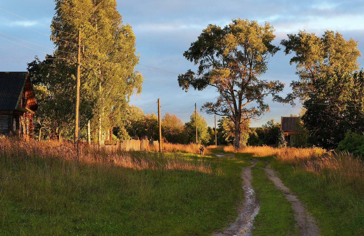 "И вечером парное молоко хозяева с улыбкой нам вручали ..."