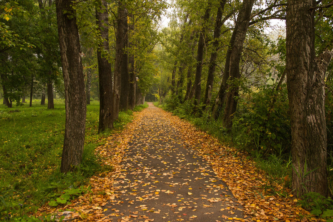 Дорогами августа