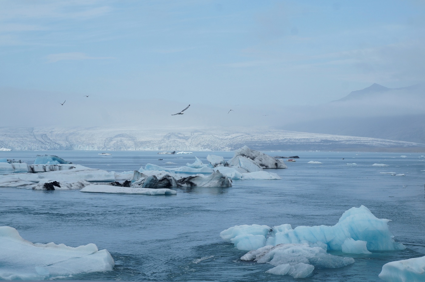 Летний сезон