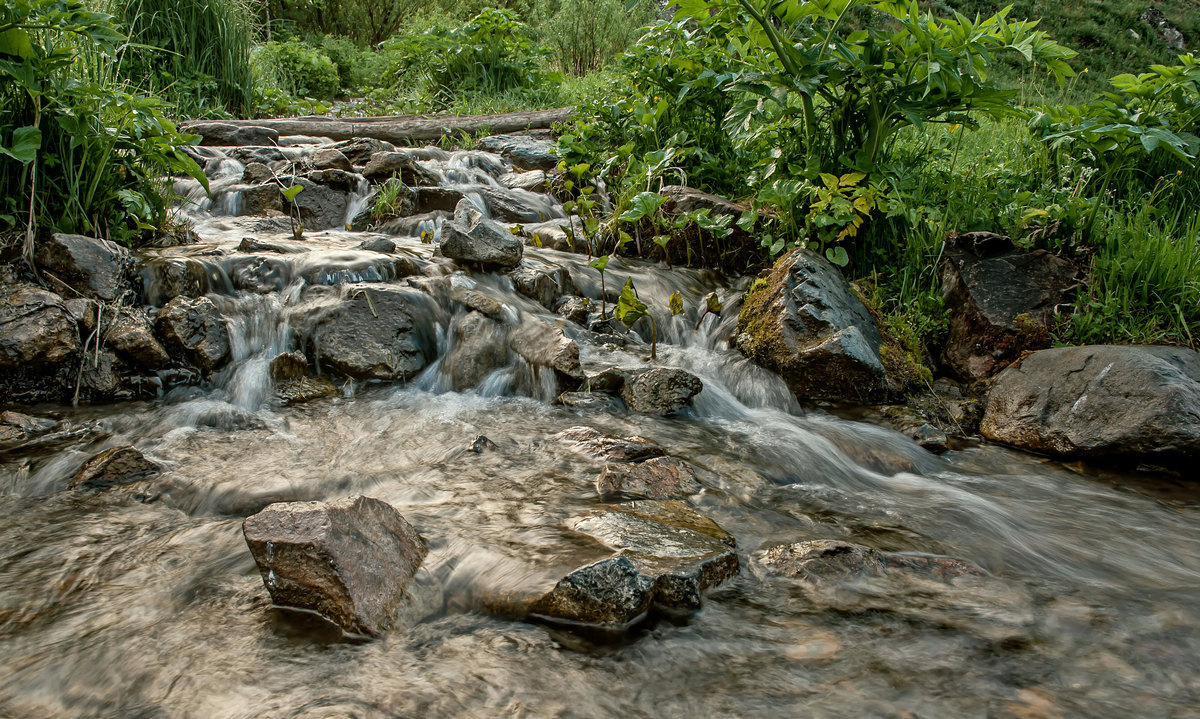Таёжный ручей...