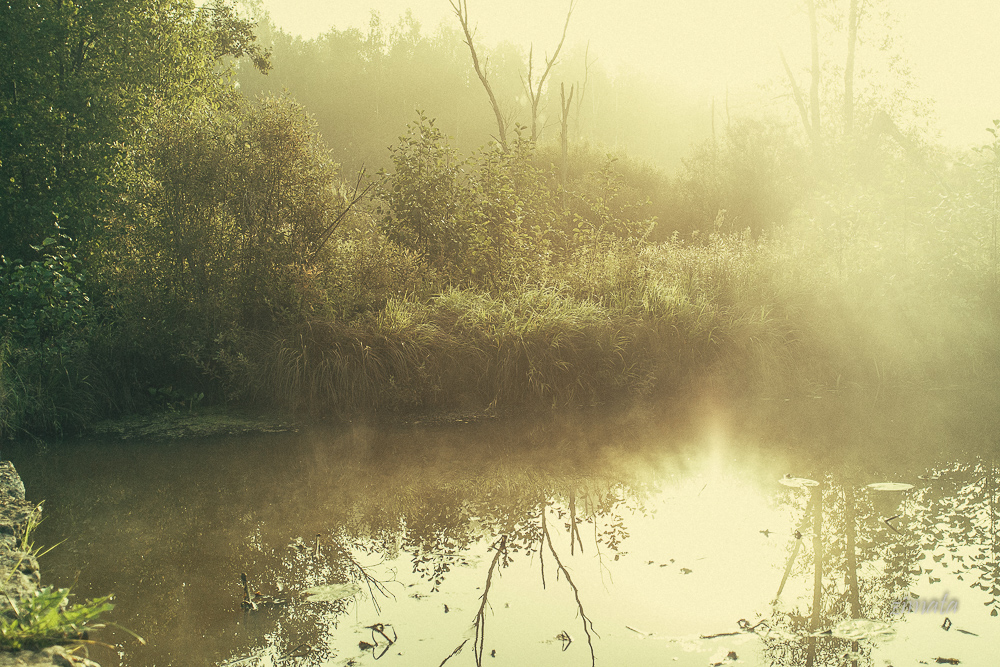 туман на речке Б. Дубна