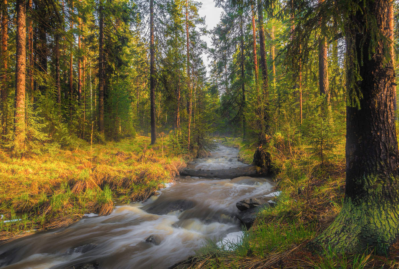 Вечер после дождя