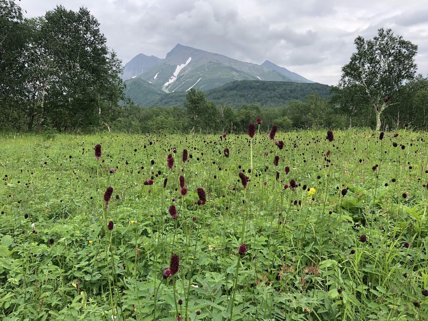 Камчатские пейзажи