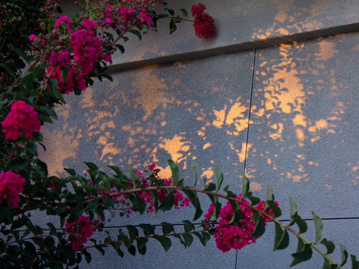 Свет и тень