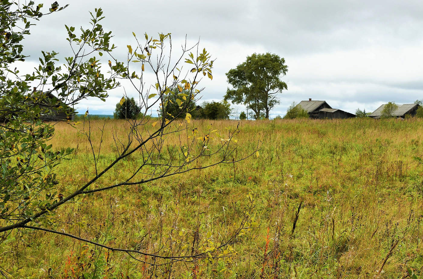 "Вот и лето прошло ..."