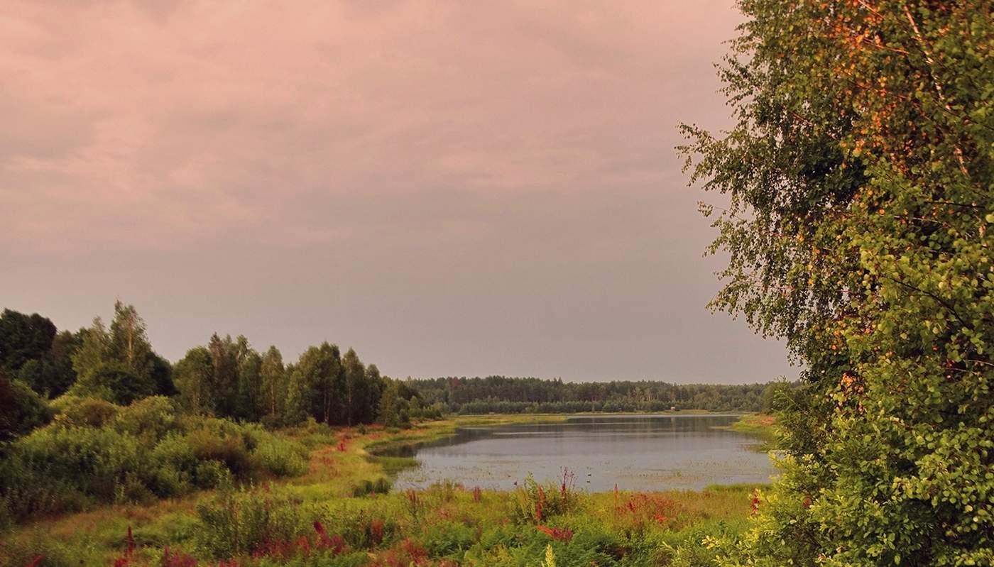 Признаки осени