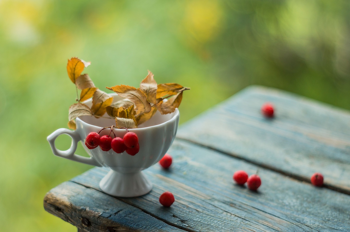 Приметы осени