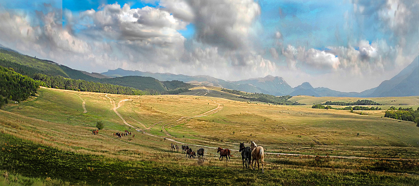 Знойный Август